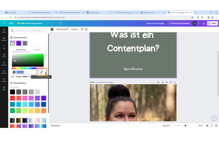 Screenshot Canva Farbcode